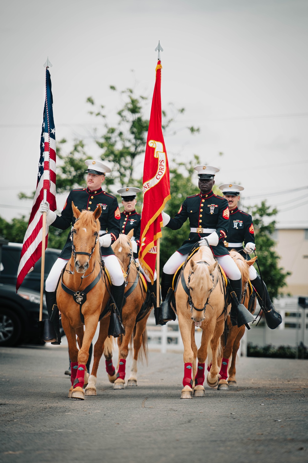 The Marine Corps Mounted Color Guard East Coast Tour