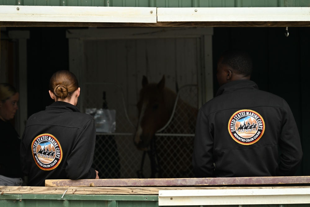 Marine Corps Mounted Color Guard East Coast Tour