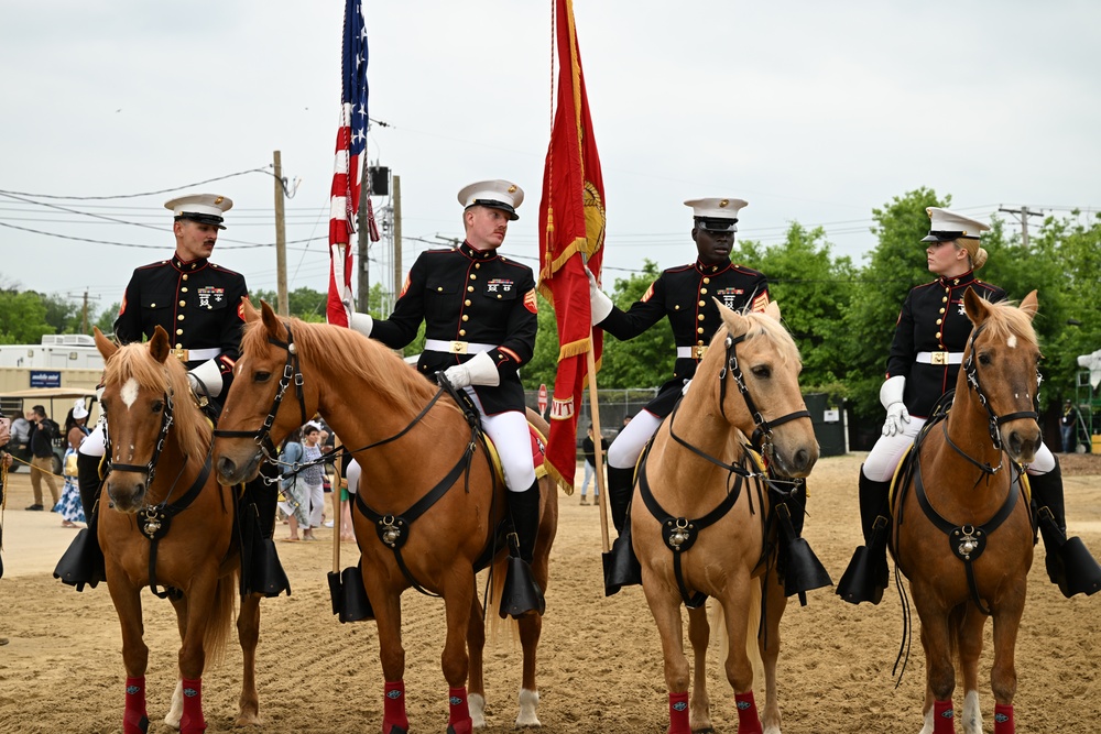 Marine Corps Mounted Color Guard East Coast Tour