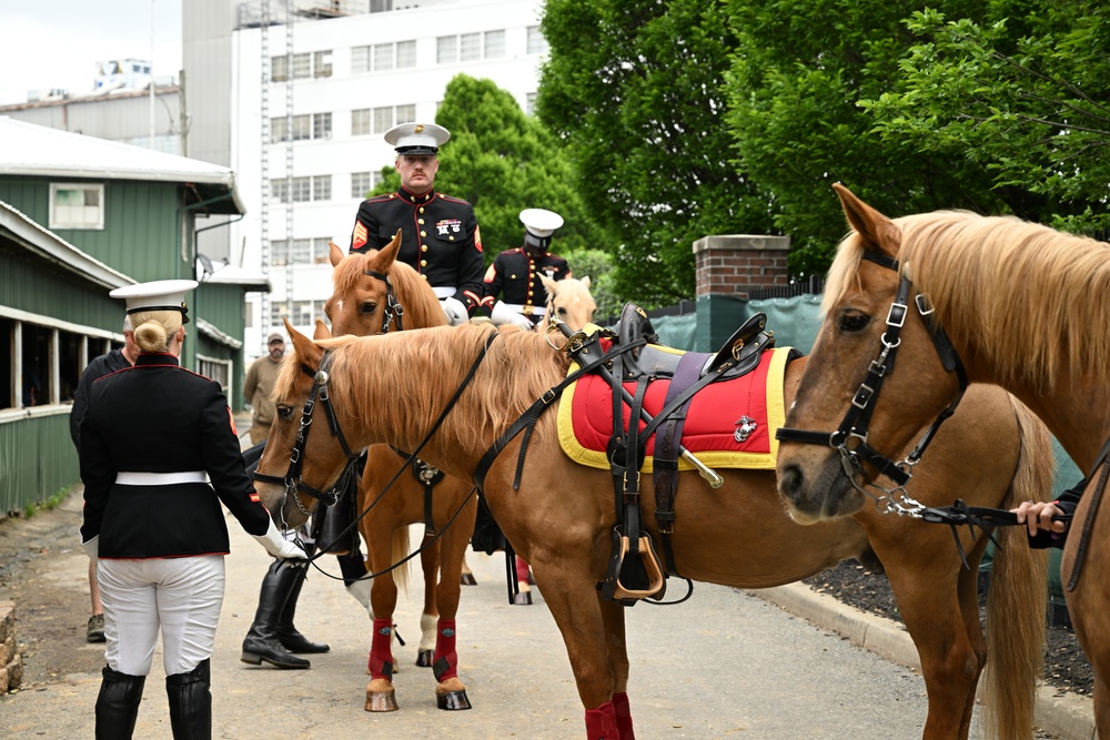 Marine Corps Mounted Color Guard East Coast Tour