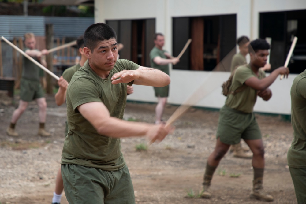 ACDC: 1/7, Philippine Armed Forces conduct martial arts training