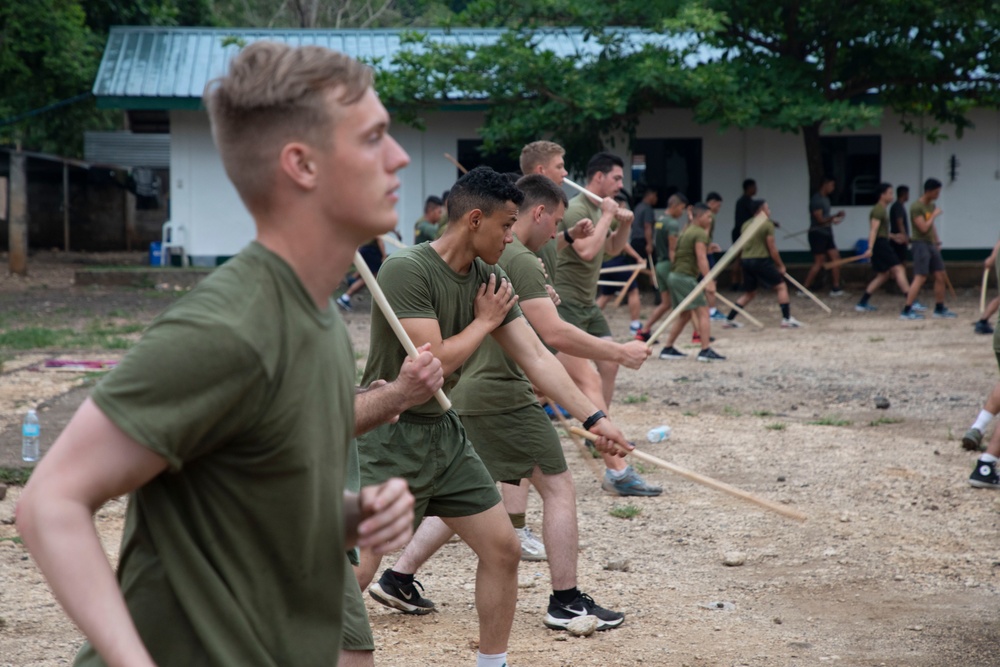 ACDC: 1/7, Philippine Armed Forces conduct martial arts training