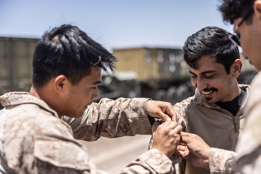 2nd Distribution Support Battalion Conduct Convoy Operations During Native Fury 24