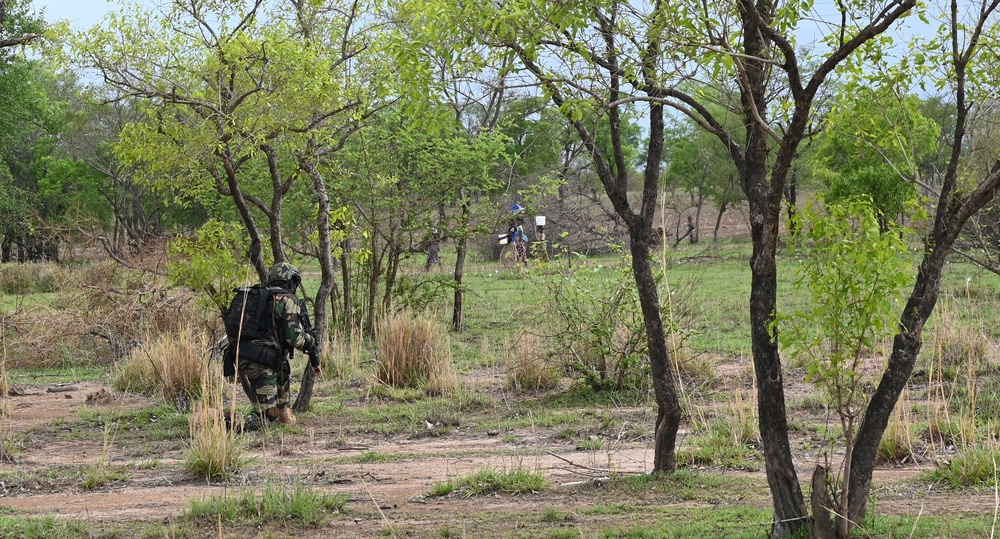 Netherlands and Ivorian Special Forces Collaborate in Flintlock 24