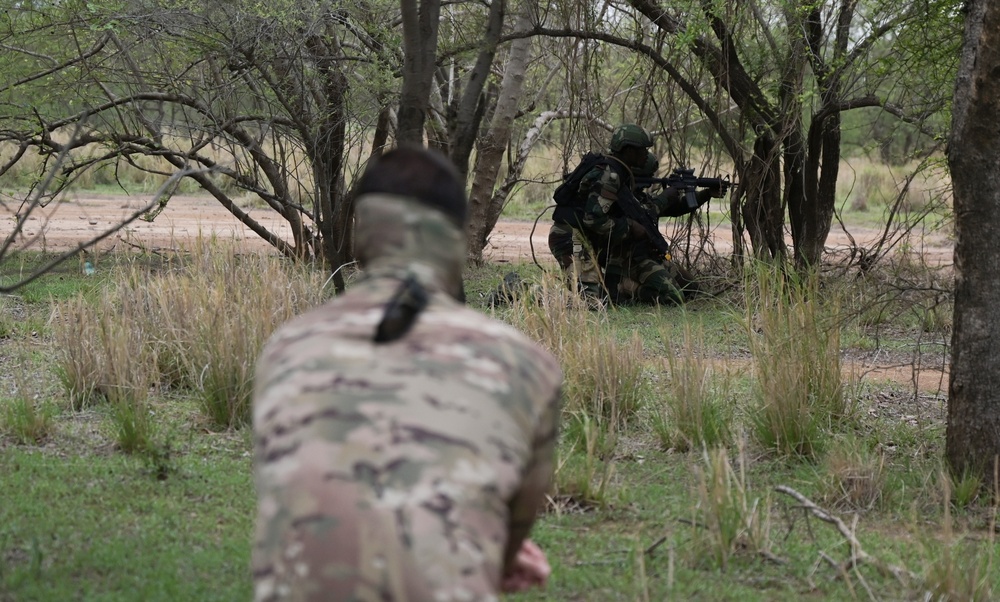 Netherlands and Ivorian Special Forces Collaborate in Flintlock 24