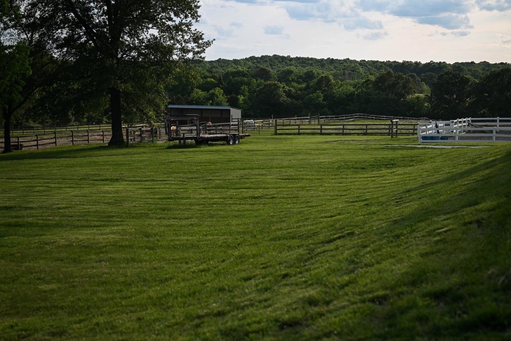 The Marine Corps Mounted Color Guard East Coast Tour