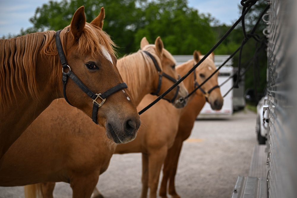 The Marine Corps Mounted Color Guard East Coast Tour