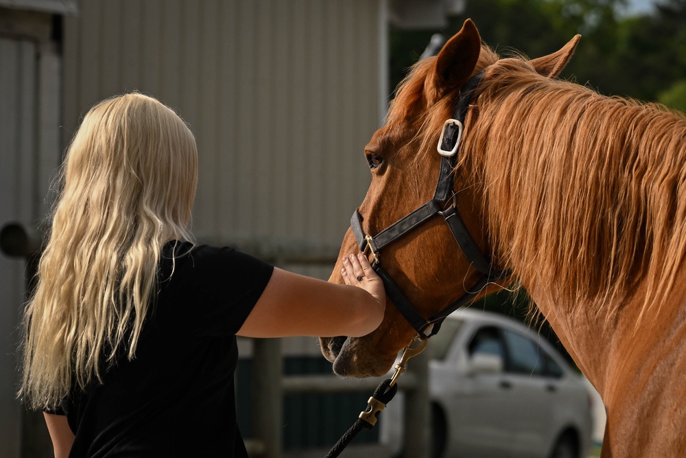 The Marine Corps Mounted Color Guard East Coast Tour