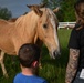 The Marine Corps Mounted Color Guard East Coast Tour