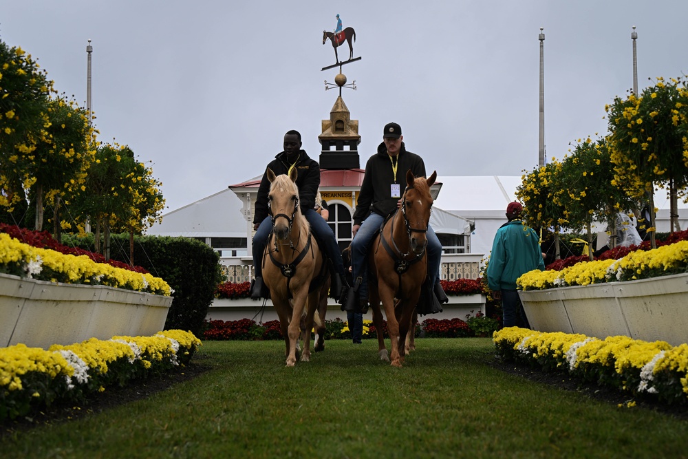 The Marine Corps Mounted Color Guard East Coast Tour