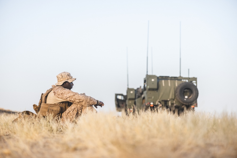 U.S. Marines with 2nd Distribution Support Battalion Perform vehicle Checks