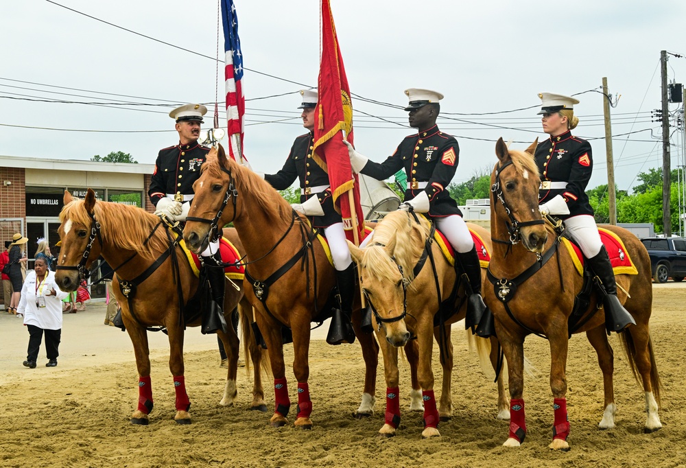 Marine Corps Mounted Color Guard