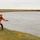 Riverine training at Gobi Wolf 2024 Riverine training at Gobi Wolf 2024