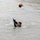 Riverine training at Gobi Wolf 2024 Riverine training at Gobi Wolf 2024