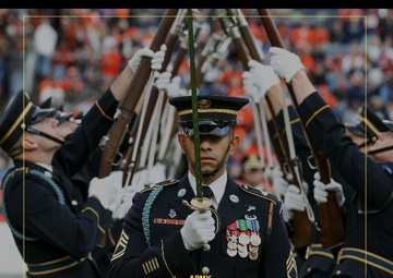 Veterans Day Graphic