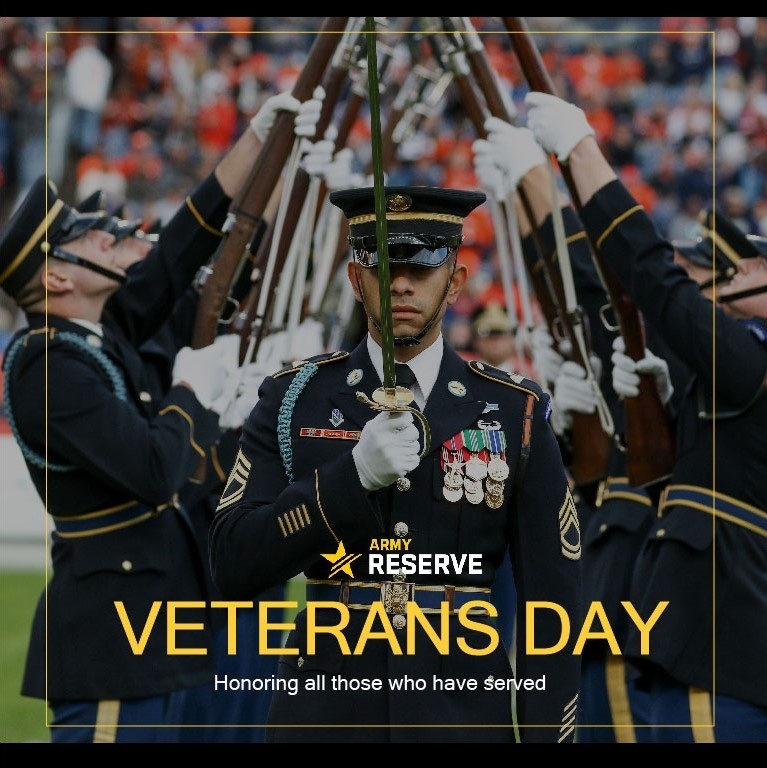 Veterans Day Graphic