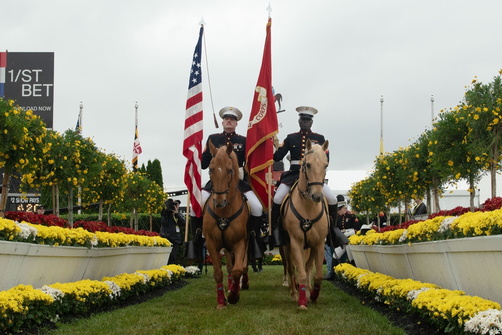 Marine Corps Mounted Color Guard East Coast Tour