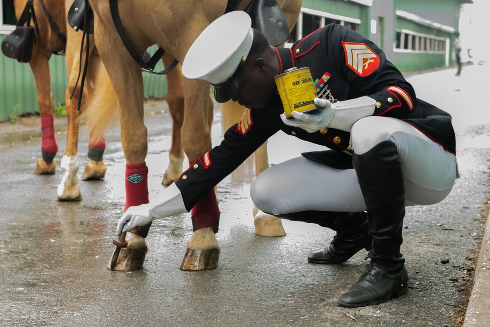 Marine Corps Mounted Color Guard East Coast Tour