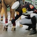 Marine Corps Mounted Color Guard East Coast Tour