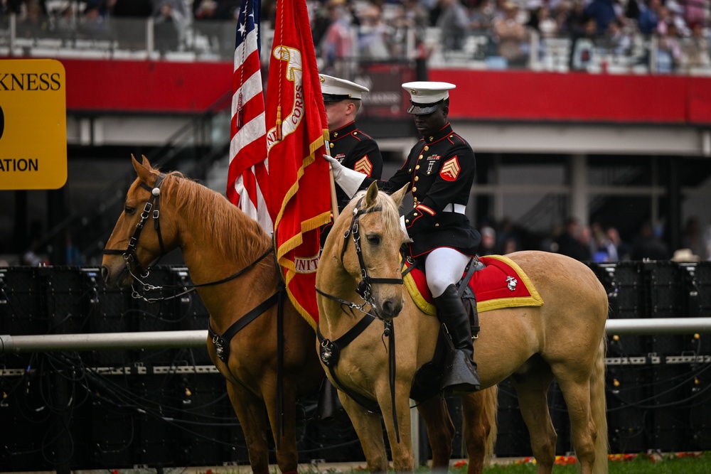 The Marine Corps Mounted Color Guard East Coast Tour