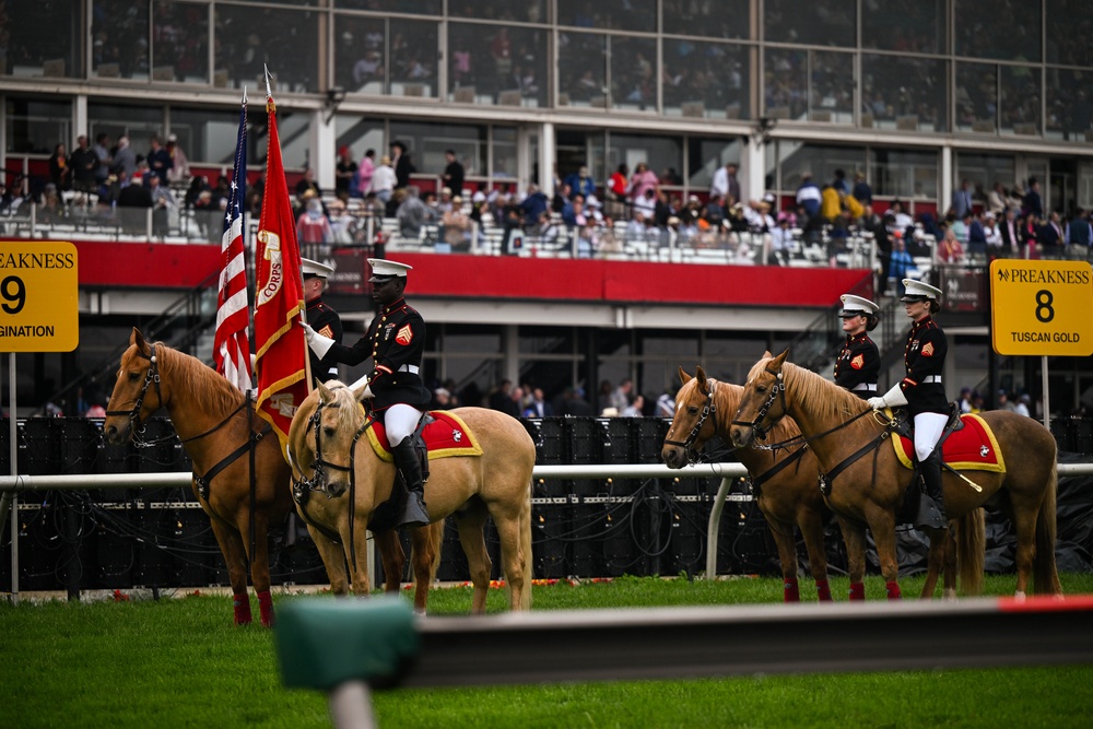 The Marine Corps Mounted Color Guard East Coast Tour