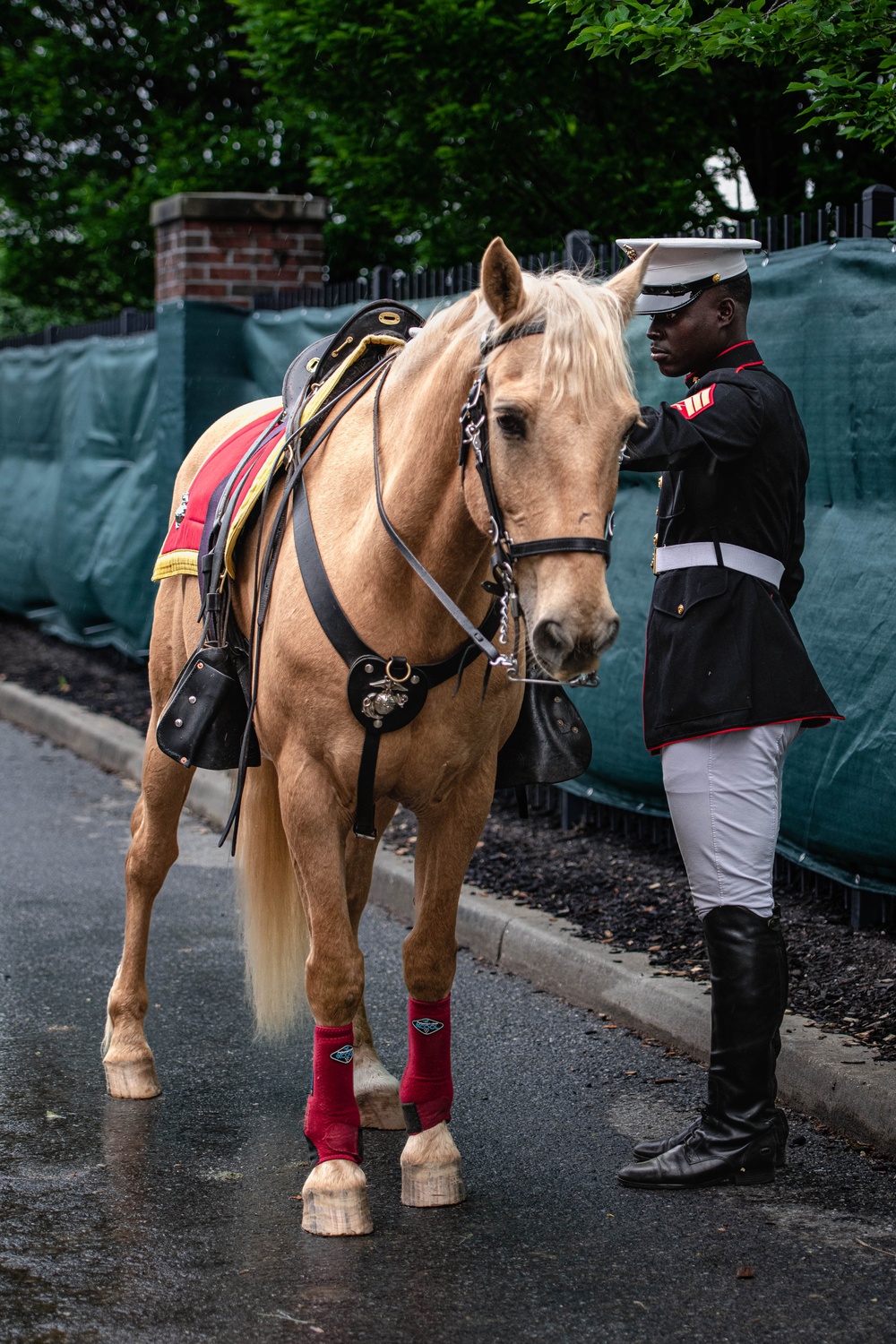 The Marine Corps Mounted Color Guard East Coast Tour