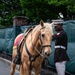 The Marine Corps Mounted Color Guard East Coast Tour