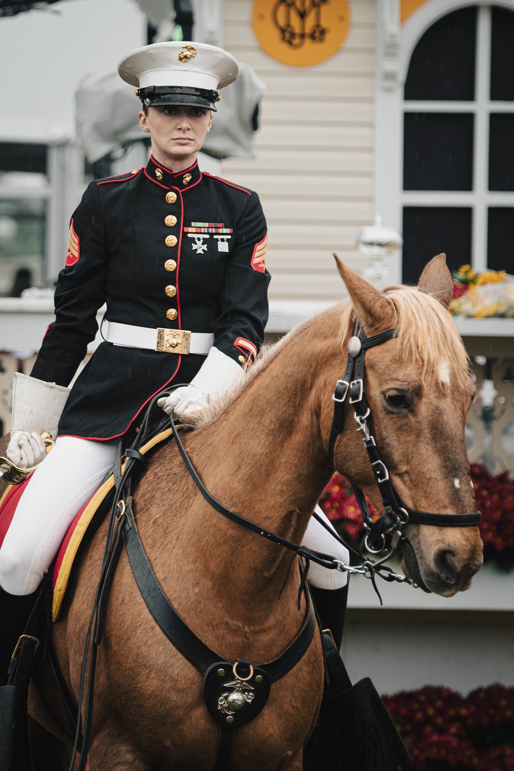 The Marine Corps Mounted Color Guard East Coast Tour