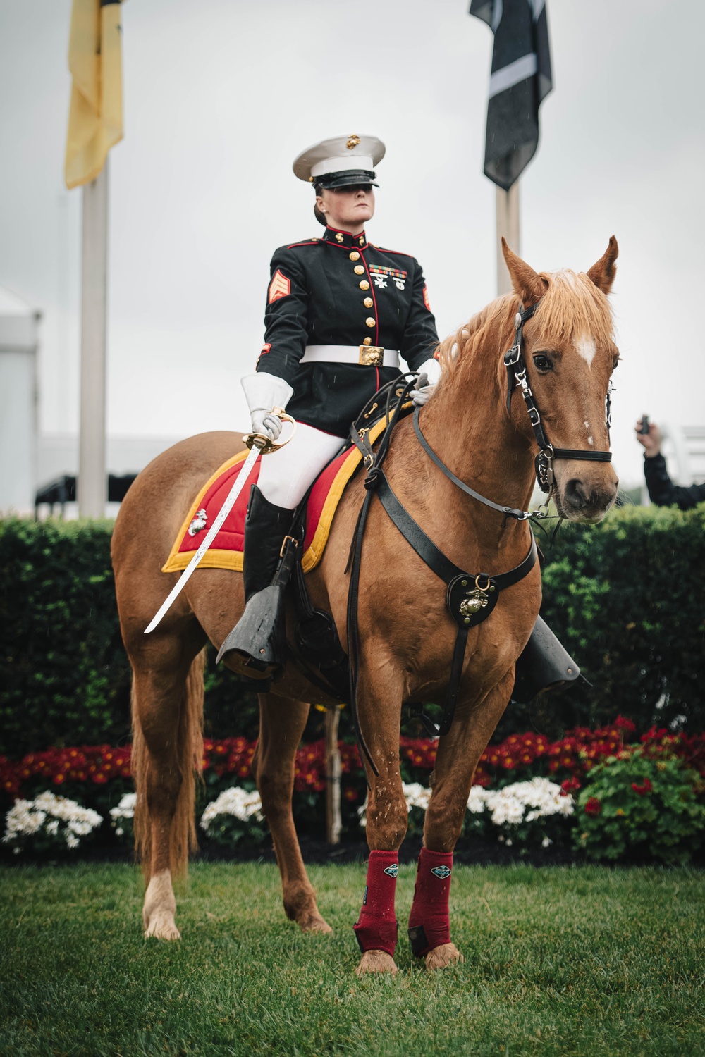 The Marine Corps Mounted Color Guard East Coast Tour