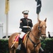 The Marine Corps Mounted Color Guard East Coast Tour