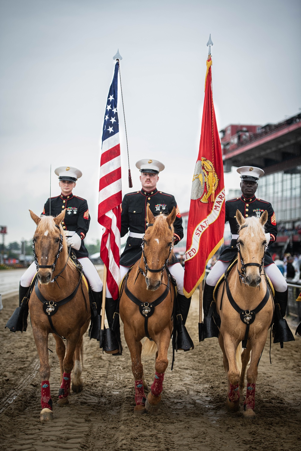 The Marine Corps Mounted Color Guard East Coast Tour