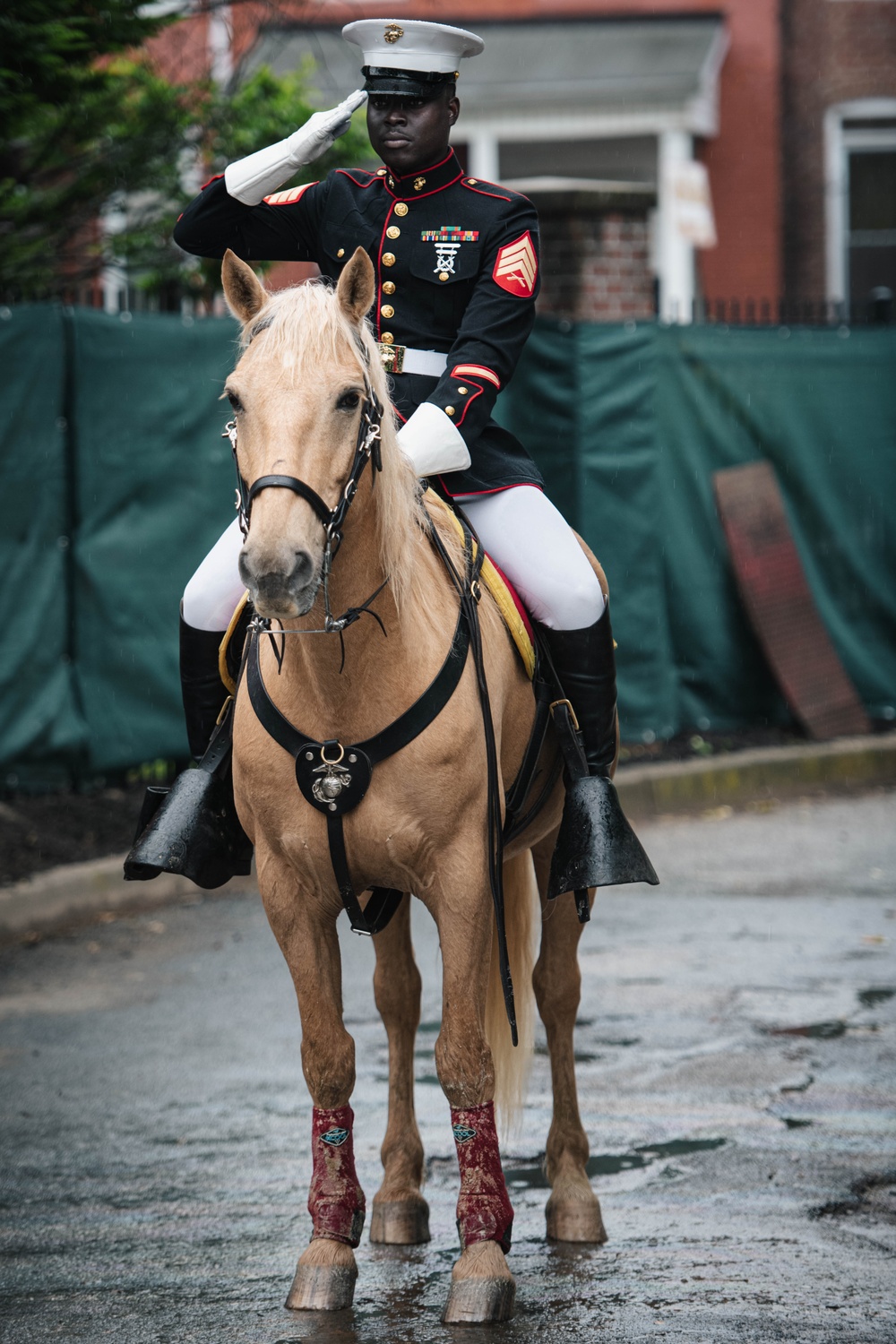 The Marine Corps Mounted Color Guard East Coast Tour