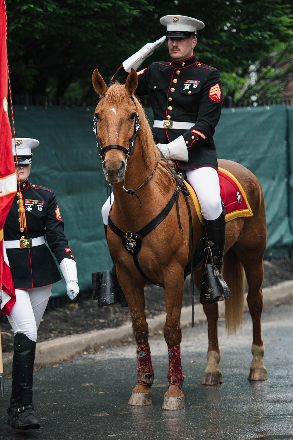 The Marine Corps Mounted Color Guard East Coast Tour