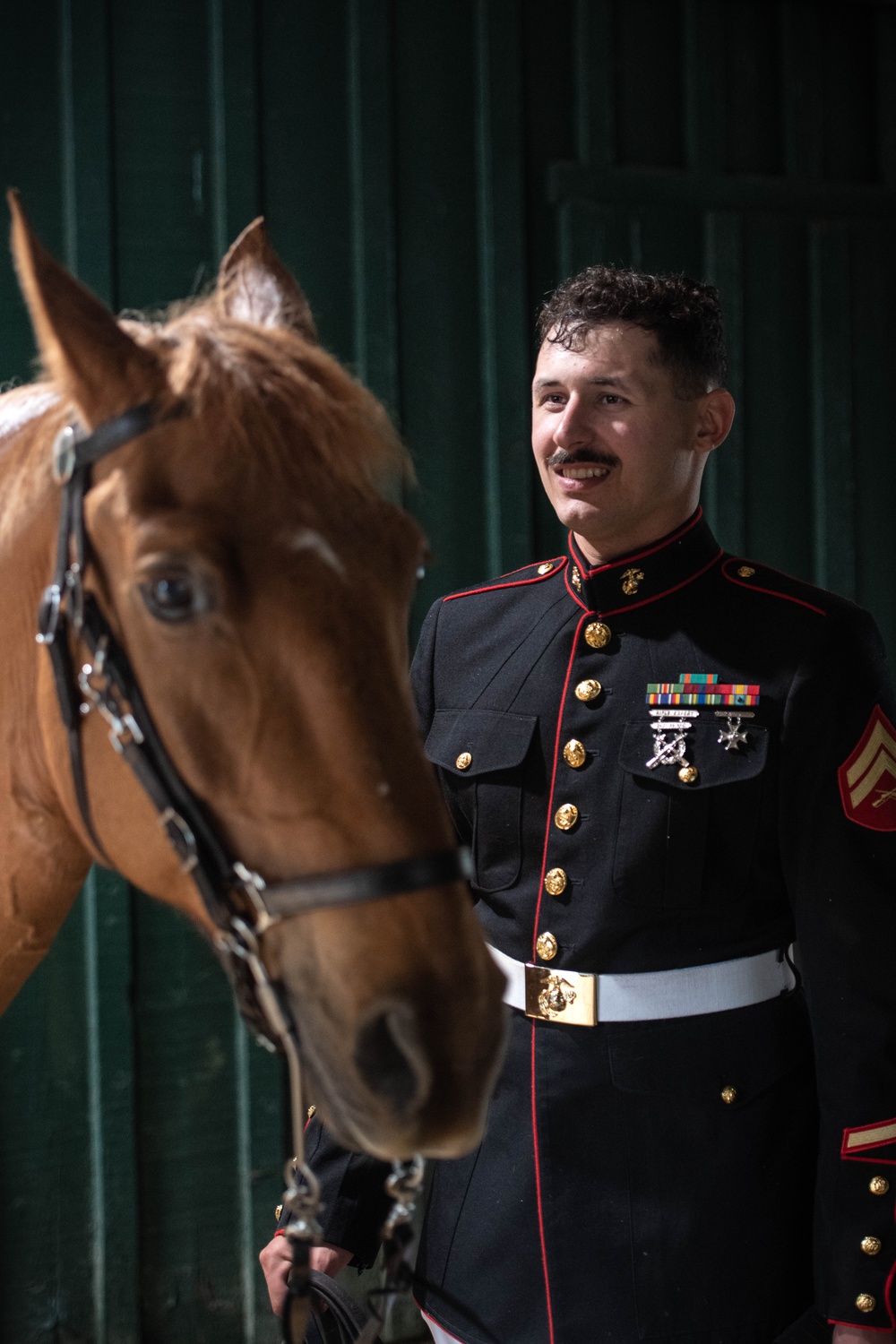 The Marine Corps Mounted Color Guard East Coast Tour