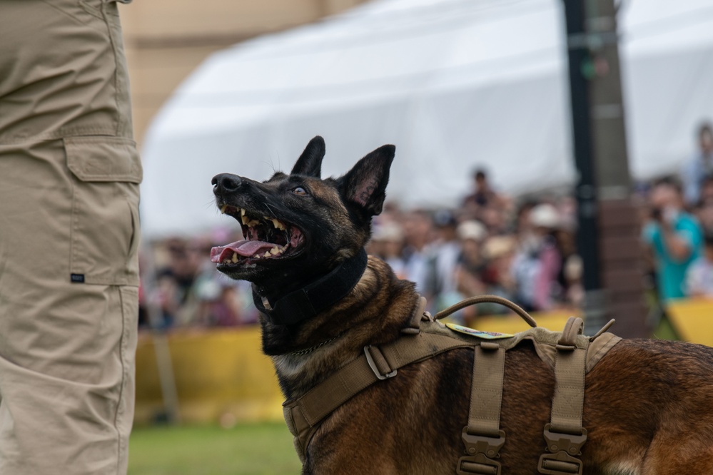 Japanese-American Friendship Festival 2024: Day Two