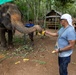 USNS Yukon Crew Visits, Swims with Thai Elephants