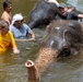 USNS Yukon Crew Visits, Swims with Thai Elephants