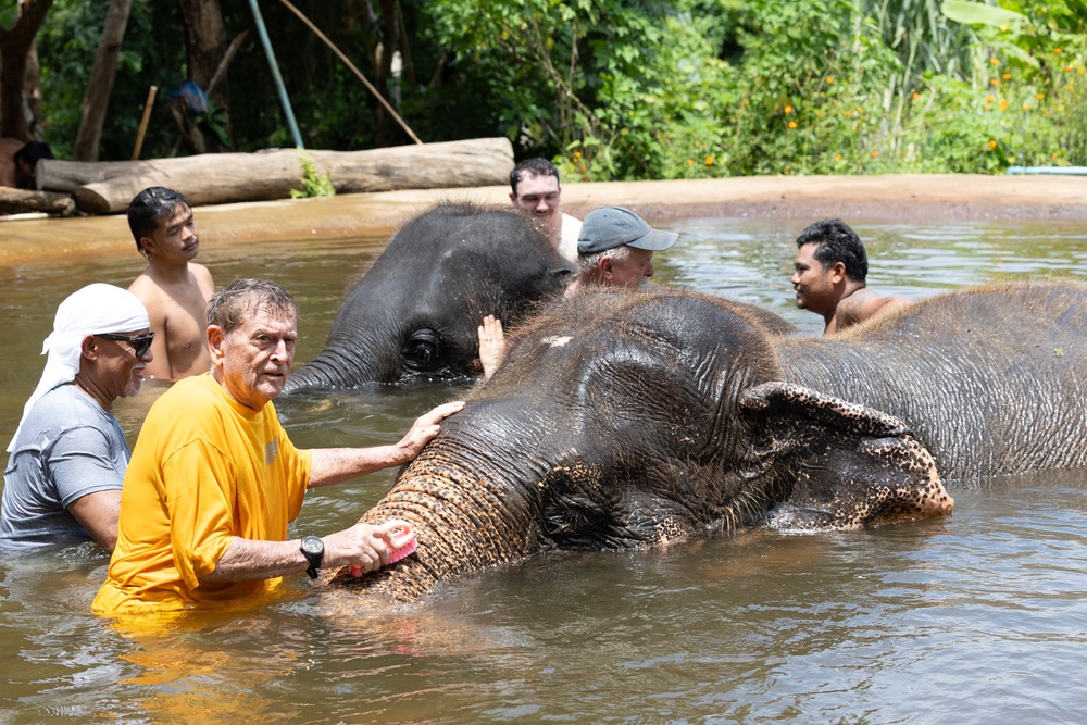 USNS Yukon Crew Visits, Swims with Thai Elephants