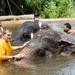 USNS Yukon Crew Visits, Swims with Thai Elephants