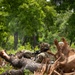 Maryland National Guard soldiers conduct react to contact drill in Ghana during African Lion 2024