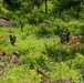 Maryland National Guard soldiers conduct react to contact drill in Ghana during African Lion 2024