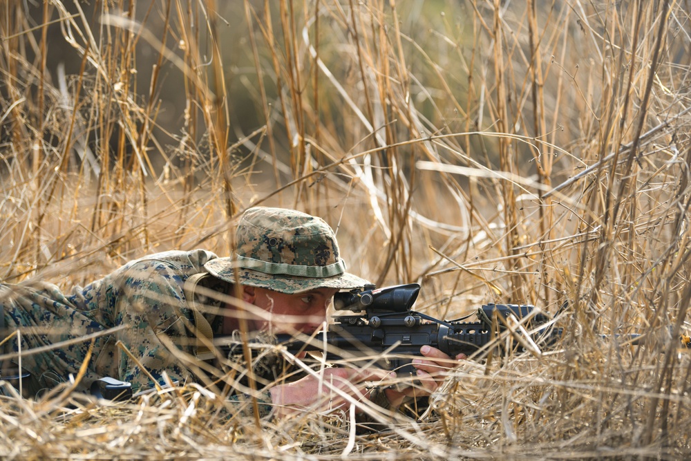 MWSS-171 Marines partner with 8th Security Forces Airmen for field training in South Korea