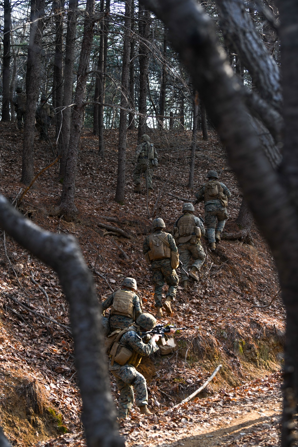 MWSS-171 Marines partner with 8th Security Forces Airmen for field training in South Korea