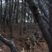 MWSS-171 Marines partner with 8th Security Forces Airmen for field training in South Korea