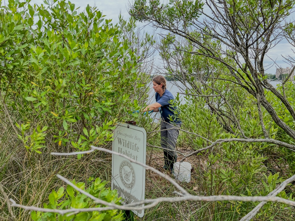 NAVFAC Atlantic Champions Chesapeake Bay Preservation at Lafayette River Annex Cleanup