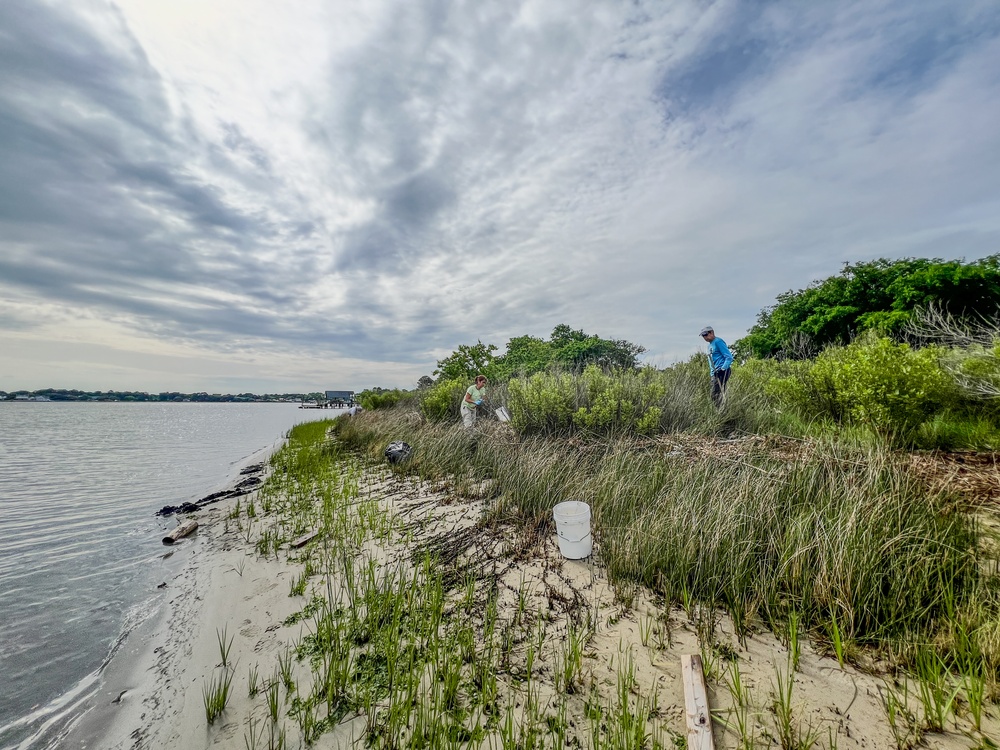 NAVFAC Atlantic Champions Chesapeake Bay Preservation at Lafayette River Annex Cleanup