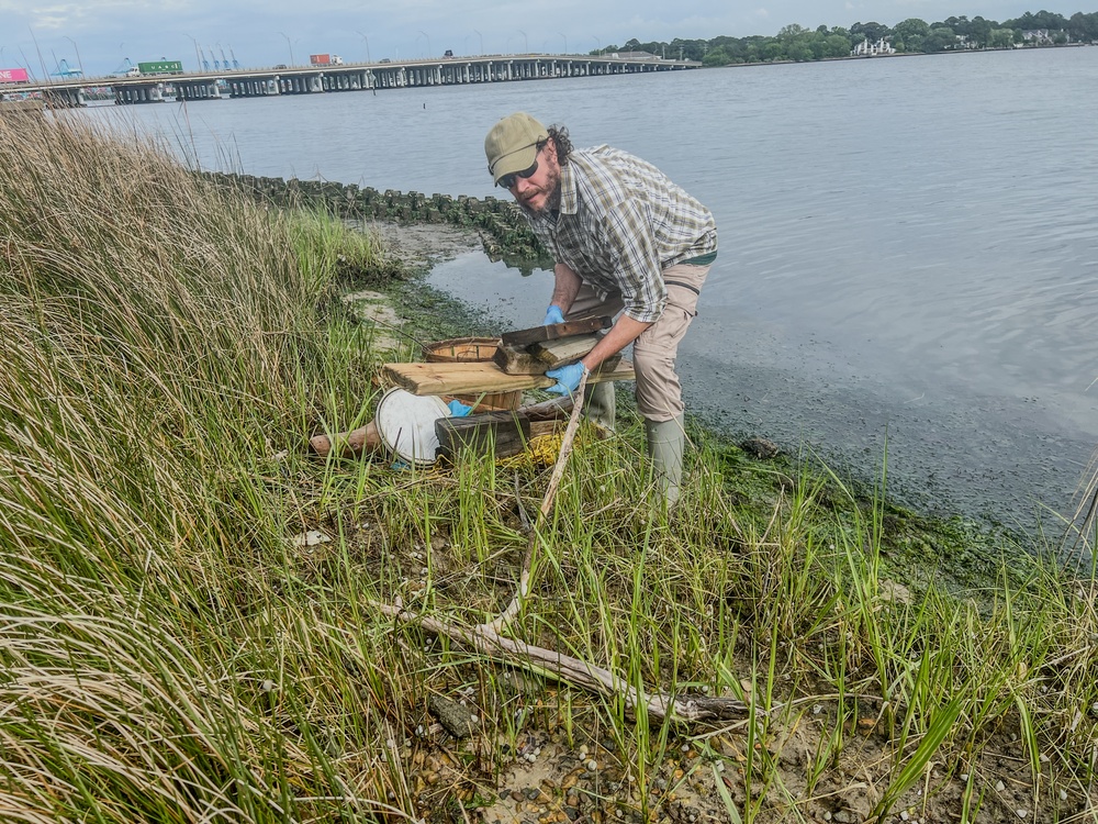 NAVFAC Atlantic Champions Chesapeake Bay Preservation at Lafayette River Annex Cleanup