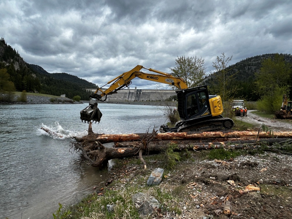 Army Corps improves Kootenai River habitat with second large wood placement