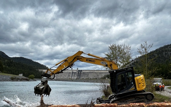 Army Corps improves Kootenai River habitat with second large wood placement