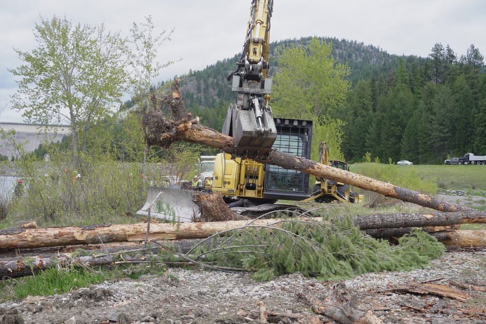 Army Corps improves Kootenai River habitat with second large wood placement